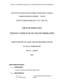 CRIANZA Y MANEJO DE 200 POLLOS PARRILLEROS”
