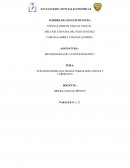 LOS NINIS DESDE SUS TRAYECTORIAS EDUCATIVAS Y LABORALES