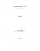 ANTROPOLOGÍA TEATRAL - E. BARBA