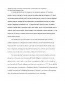 EL ESTADO Y LOS PUEBLOS INDÍGENAS EN VENEZUELA ANTES DE LA CONSTITUCIÓN DE 1999