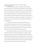 EL ESTADO Y LOS PUEBLOS INDÍGENAS EN VENEZUELA ANTES DE LA CONSTITUCIÓN DE 1999