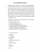 PLAN Y PROGRAMA DE AUDITORIA