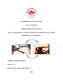 LA DEMOCRACIA COMO SUSTENTO DE UN PODER JUDICIAL FUERTE, INDEPENDIENTE E IMPARCIAL