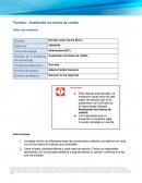 Analizado los titulos de credito