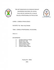 CONSEJO PROFESIONAL VOCACIONAL. Página 1