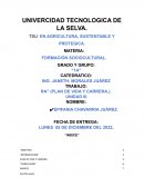 RA” (PLAN DE VIDA Y CARRERA.)