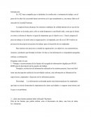 Ejercicio y practica HUGO BOSS