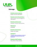 Cómo se constituyen y se mejora el desempeño de los equipos de trabajo en una organización?