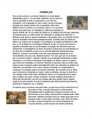 Reto 1. Los paradigmas educativos de la teoría a la práctica