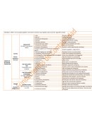 Cuentas del estado de situación financiera