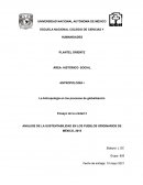 ANÁLISIS DE LA SUSTENTABILIDAD EN LOS PUEBLOS ORIGINARIOS DE MÉXICO, 2015