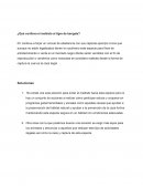 ¿Qué conlleva el maltrato al tigre de bengala?