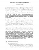 TEORIA DEL CASO (TESIS MINISTERIO PÚBLICO)