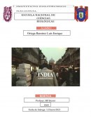 CRITICA DOCUMENTAL India, la farmacia del mundo