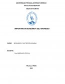 IMPORTANCIA BIOQUÍMICA DEL MAGNESIO