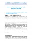 CASO PRÁCTICO. CASO VIRILIMP S. A. Y EL OXÍGENO TRI-NUCLEAR