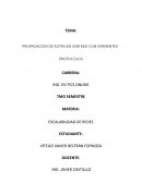 Propagación de rutas con diferentes protocolos