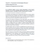 Tarea N4 “Formulación de Estrategias Eficaces”