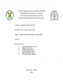 CONSEJO PROFESIONAL VOCACIONAL