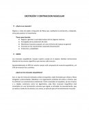 Músculo esquelético