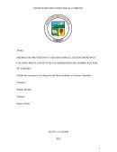 MEDIDAS DE PREVENCION Y CUIDADOS PARA EL ESTADO EMOCIONAL CAUSADO POR EL COVID-19 EN LOS MORADORES DEL BARRIO SAN JOSE DE YARUQUI