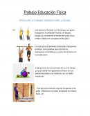 Trabajo Educación Física
