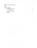 Prueba Admisión en base a normas APA