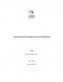 Consecuencias del desempleo en Lima Metropolitana