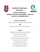 RESUMEN CAPÍTULO 2: ESTUDIO DEL MERCADO