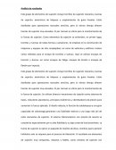 Analisis de resultados CAD electromecanico