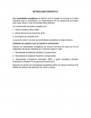 METABOLISMO ENERGÉTICO