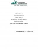 DERECHO ROMANO PROYECTO PROFESIONAL