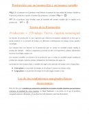 Producción con un insumo fijo y un insumo variable