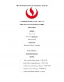 TRABAJO FINAL DE GERENCIA DE PROYECTO