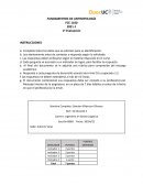 FUNDAMENTOS DE ANTROPOLOGÍA