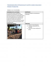 PROGRAMACIÓN EXTRAESCOLAR HUERTO. Página 1