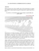 EL LADO OSCURO DE LA EXPERIMENTACIÓN CON ANIMALES