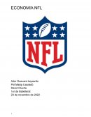 ECONOMIA NFL (сat)