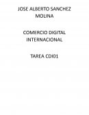 COMERCIO DIGITAL 01 PLAN DE MARKETING