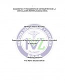DIAGNÓSTICO Y TRATAMIENTO DE OSTEOARTRITIS DE LA ARTICULACIÓN INTERFALÁNGICA DISTAL