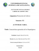 Características generales de los fitopatógenos