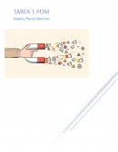 POLITICAS DE MARKETING TEMA1