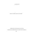 Introducción a la Microeconomía