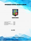 Diagnóstico Funcional