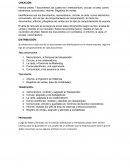 CICLO DE VIDA DE LOS DOCUMENTOS