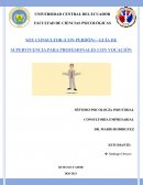 RESUMEN DEL LIBRO SOY CONSULTOR