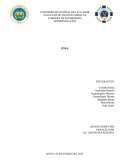 Formacion de emprendedores