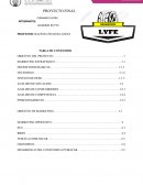 Proyecto de investigacion empresa NEUMATICOS LYFE