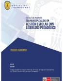 Trabajo Académico (Plan de Acción)