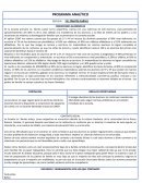 FORMATO PROGRAMA ANALITICO